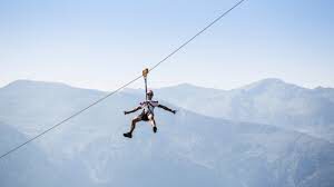 Flying Fox